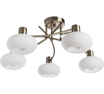 Потолочный светильник Arte Lamp A7556PL-5AB