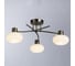 Потолочный светильник Arte Lamp A7556PL-3AB 2
