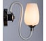 Настенный светильник Arte Lamp A1404AP-1WH 2