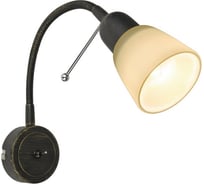 Настенный светильник Arte Lamp A7009AP-1BR