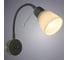Настенный светильник Arte Lamp A7009AP-1BR 2