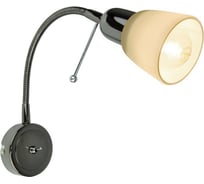 Настенный светильник Arte Lamp A7009AP-1BC