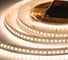 Лента светодиодная ELF LED PRO140, 176/м (2835), 24В, 16Вт/м, 5м, белый теплый 2800-3300К ELFLED-24176-PRO140ww 2