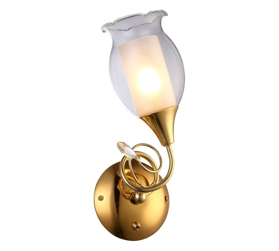 Настенный светильник Arte Lamp A9289AP-1GO