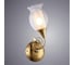 Настенный светильник Arte Lamp A9289AP-1GO 2