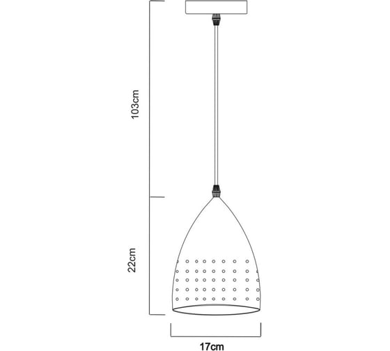 Подвесной светильник Arte Lamp A4081SP-1SS