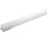 Светодиодная лампа LightPhenomenON LT-LED-T8-01-24w-G13-6500K Е1606-1008 3