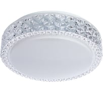 Потолочный светильник Arte Lamp A1568PL-1CL