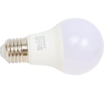 Лампа ОНЛАЙТ 90 401 OLL-A60-13-230-4K-E27 (PRO 90-240 В) 90401