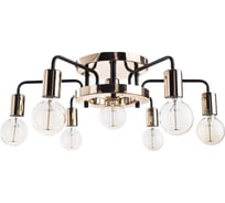 Потолочный светильник Arte Lamp A6001PL-7BK