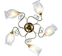 Потолочный светильник Arte Lamp A9289PL-5GO