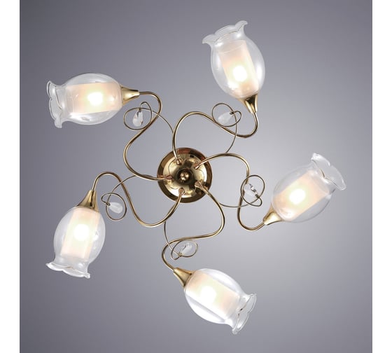 Потолочный светильник Arte Lamp A9289PL-5GO