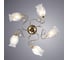 Потолочный светильник Arte Lamp A9289PL-5GO 2