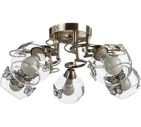 Потолочный светильник Arte Lamp A5004PL-5AB