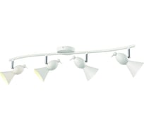 Потолочный светильник Arte Lamp A9229PL-4WH