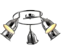 Потолочный светильник Arte Lamp A9557PL-5CC