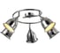 Потолочный светильник Arte Lamp A9557PL-5CC 1