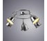 Потолочный светильник Arte Lamp A9557PL-5CC 2