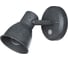 Настенный светильник Arte Lamp A1677AP-1GY 1