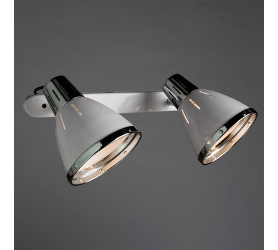 Настенный светильник Arte Lamp A2215AP-2WH