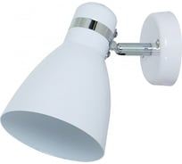 Настенный светильник Arte Lamp A5049AP-1WH