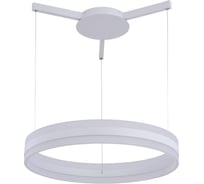 Подвесной светильник Arte Lamp A2501SP-1WH