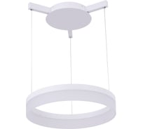 Подвесной светильник Arte Lamp A2502SP-1WH