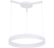 Подвесной светильник Arte Lamp A2504SP-1WH