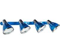 Потолочный светильник Arte Lamp A2215PL-4BL