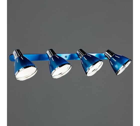 Потолочный светильник Arte Lamp A2215PL-4BL
