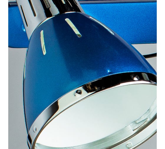 Потолочный светильник Arte Lamp A2215PL-4BL