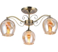 Потолочный светильник Lumin'arte GARDA-CL40E27-3AB