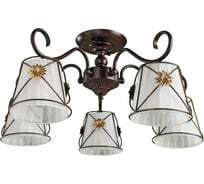 Потолочный светильник Arte Lamp A5495PL-5BR