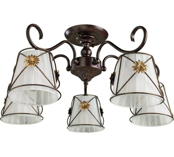 Потолочный светильник Arte Lamp A5495PL-5BR