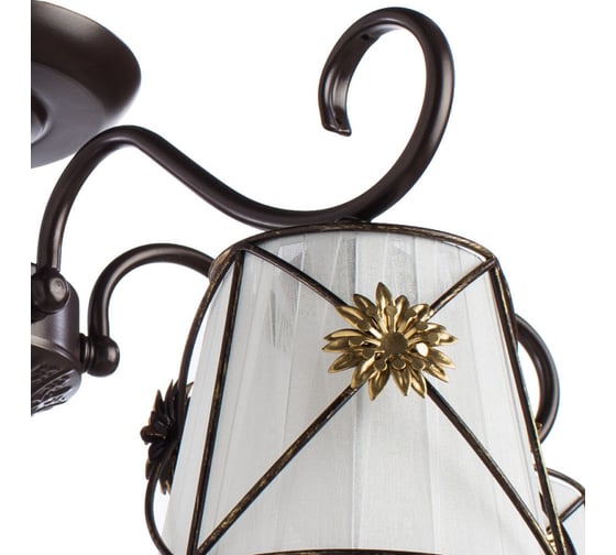 Потолочный светильник Arte Lamp A5495PL-5BR