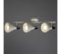 Потолочный светильник Arte Lamp A9154PL-3WH 2