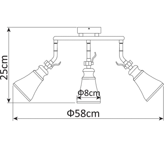 Потолочный светильник Arte Lamp A9231PL-3CC