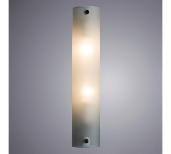 Настенный светильник Arte Lamp A4101AP-2WH