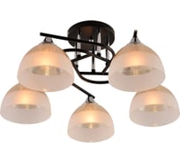 Люстра потолочная Schaffner Raton 3550-5, цвет черный. Освещение до 18 кв.м, мощность 300 Вт Raton 3550-5 BK+CR