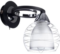 Настенный светильник Arte Lamp A1604AP-1BK