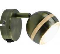 Настенный светильник Arte Lamp A6009AP-1AB
