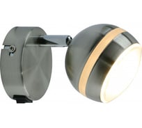 Настенный светильник Arte Lamp A6009AP-1SS