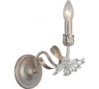 Настенный светильник Arte Lamp A8626AP-1WG
