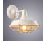 Настенный светильник Arte Lamp A9183AP-1WG 2