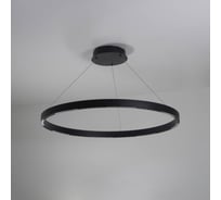 Светильник подвесной ElegantLight DZN- BLACK/ЧЕРНЫЙ 8242