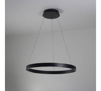 Светильник подвесной ElegantLight DZN- BLACK/ЧЕРНЫЙ 8241