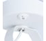 Светильник Arte Lamp A6252AP-1WH 3