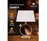 Настольный светильник Arte Lamp RIZZI A2230LT-1PB 4