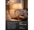 Настольный светильник Arte Lamp RIZZI A2230LT-1PB 5