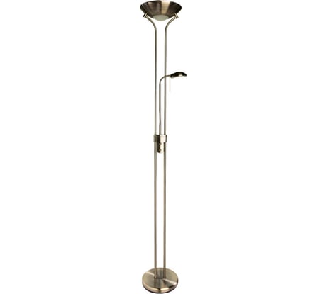 Напольный светильник Arte Lamp A4329PN-2AB